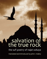 salvation of the true rock cover