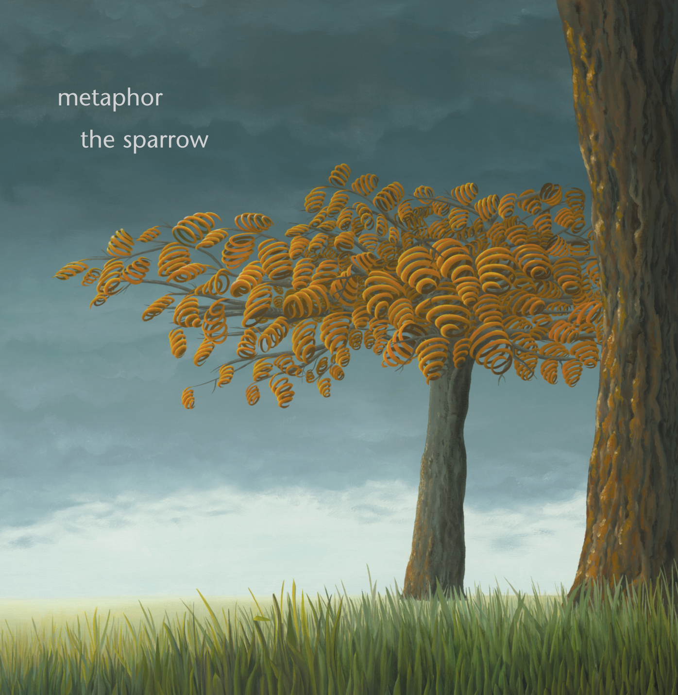 sparrow cover